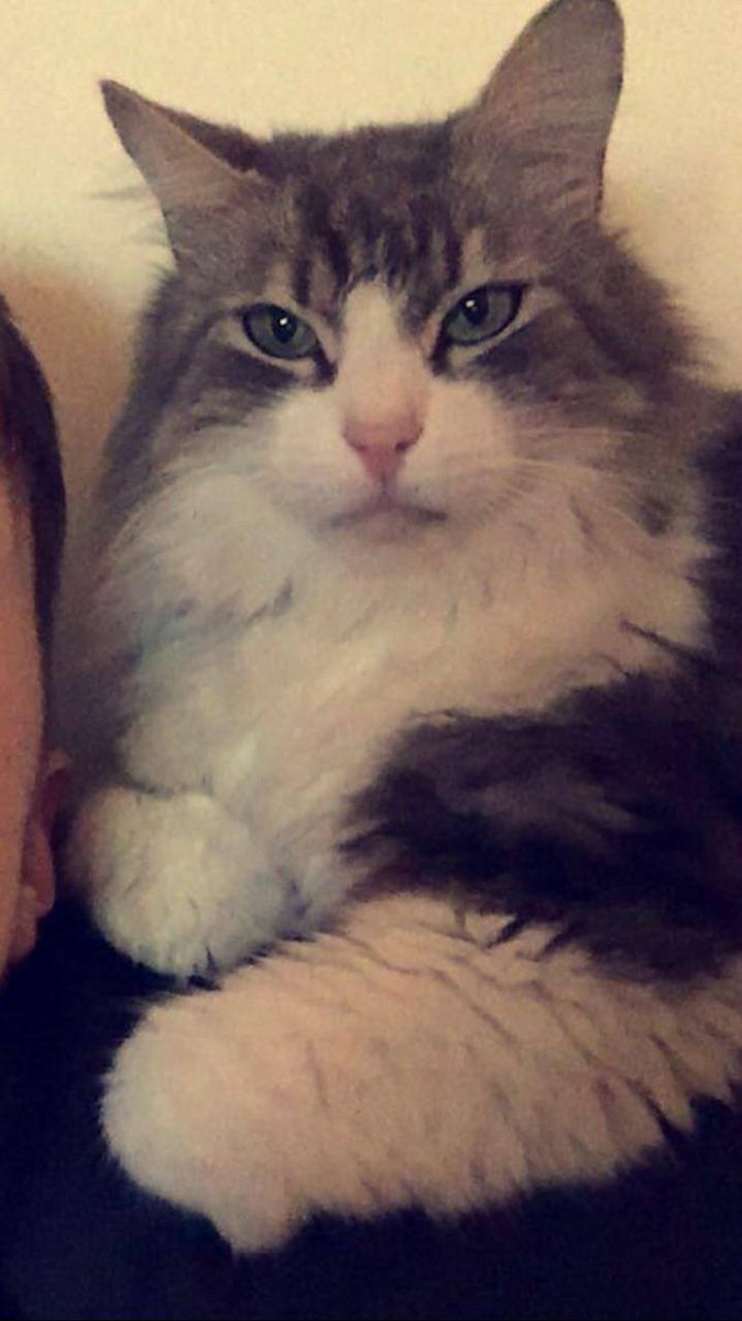 Meiers On Twitter Perdu Sur Lille Secteur République