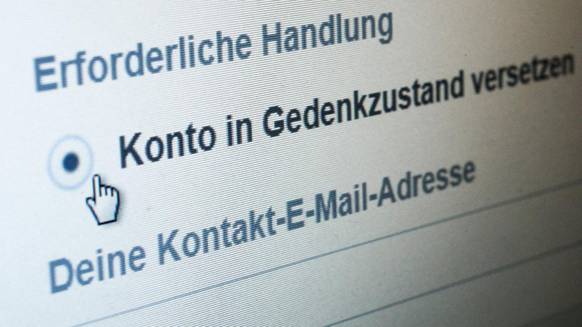 WELT Webwelt tweet media