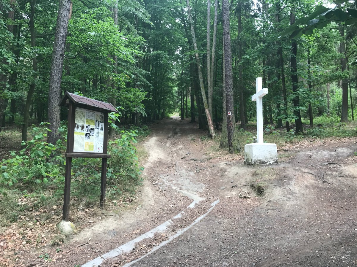 retroturistika's tweet photo. Pod Křížovým vrchem u Chotěšova #krizovyvrch #chotesov #cesko #czechia #forest #heritage #history #zemeceska #vylet #cestovani #turistika #travel #trip #explore #interesting #visit #visitcz #visitczechia #Holy #landscape https://t.co/5uGD1oT8Iu