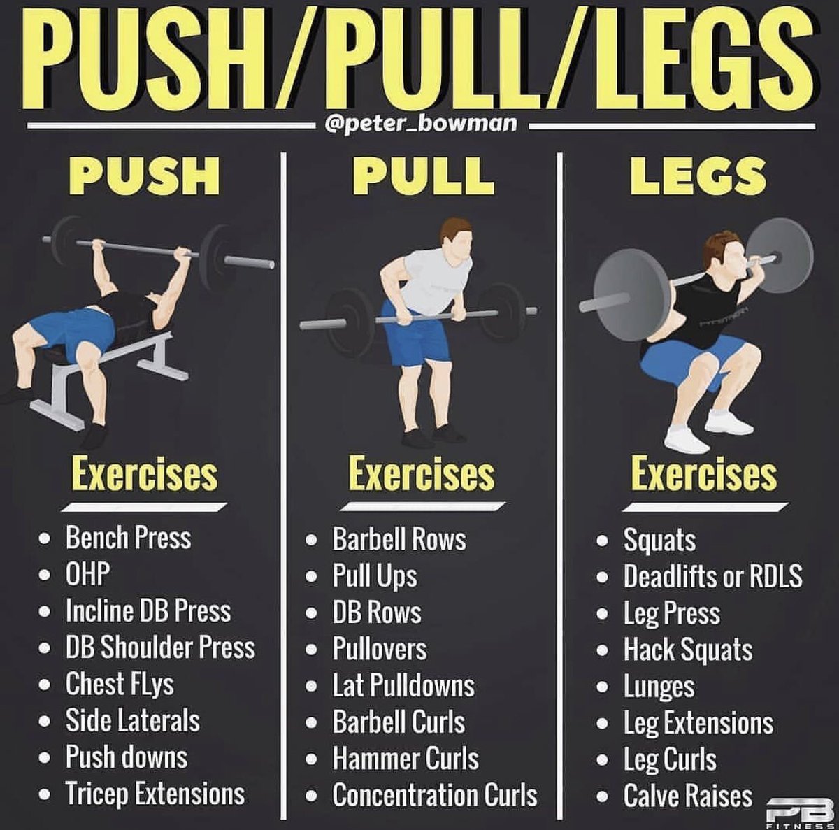 5 Day Push Pull Hypertrophy Workout for Push Pull Legs