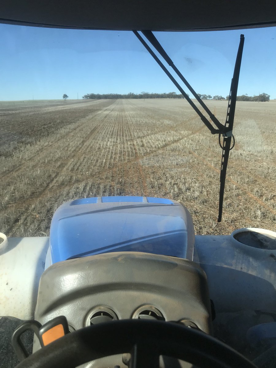 Some would call it a hungry paddock which they would be correct!! #seeding18 #lastpaddock #feedingsheep #vetch&barley