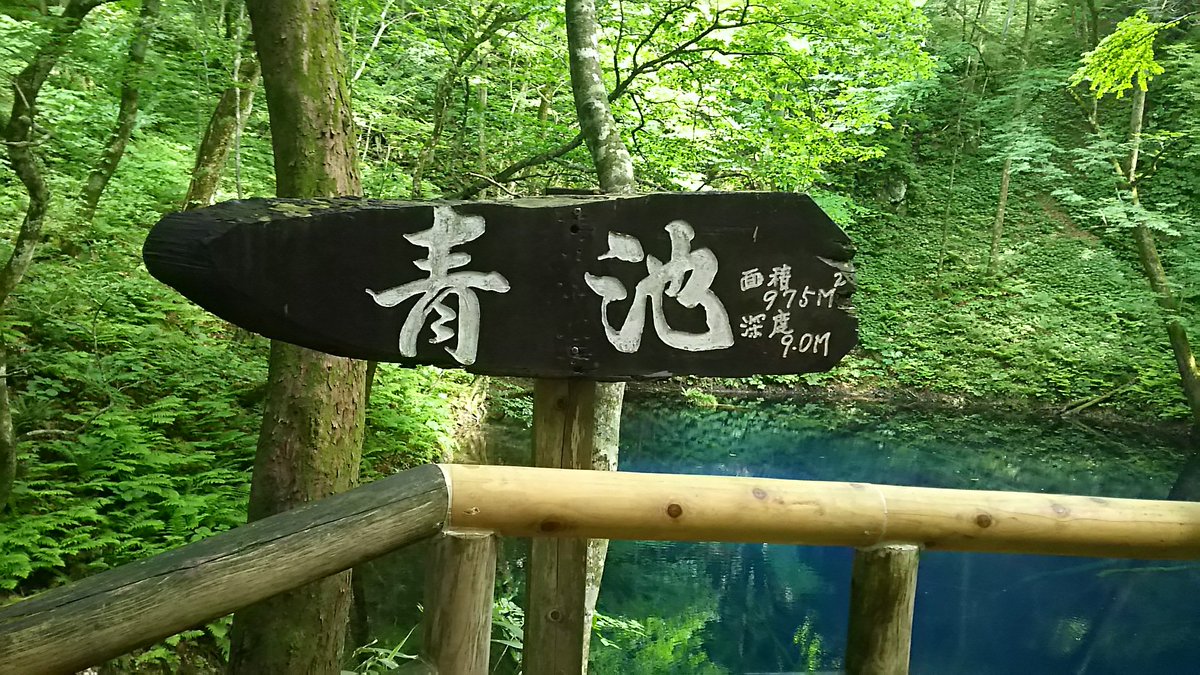 0704_blue's tweet photo. 先日、青森県の青池に行ってきたんだけど本当に青かった！透き通った青！神秘的でずっと見てたかった✨青好きには堪らない…また行きたいなぁ(*´ω｀*) https://t.co/7oWTKRBS4l
