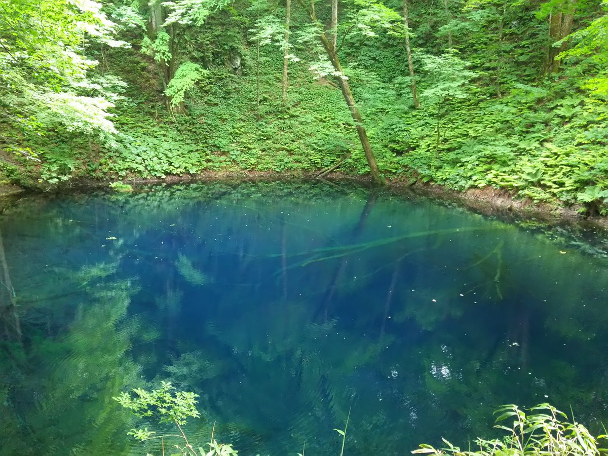0704_blue's tweet photo. 先日、青森県の青池に行ってきたんだけど本当に青かった！透き通った青！神秘的でずっと見てたかった✨青好きには堪らない…また行きたいなぁ(*´ω｀*) https://t.co/7oWTKRBS4l