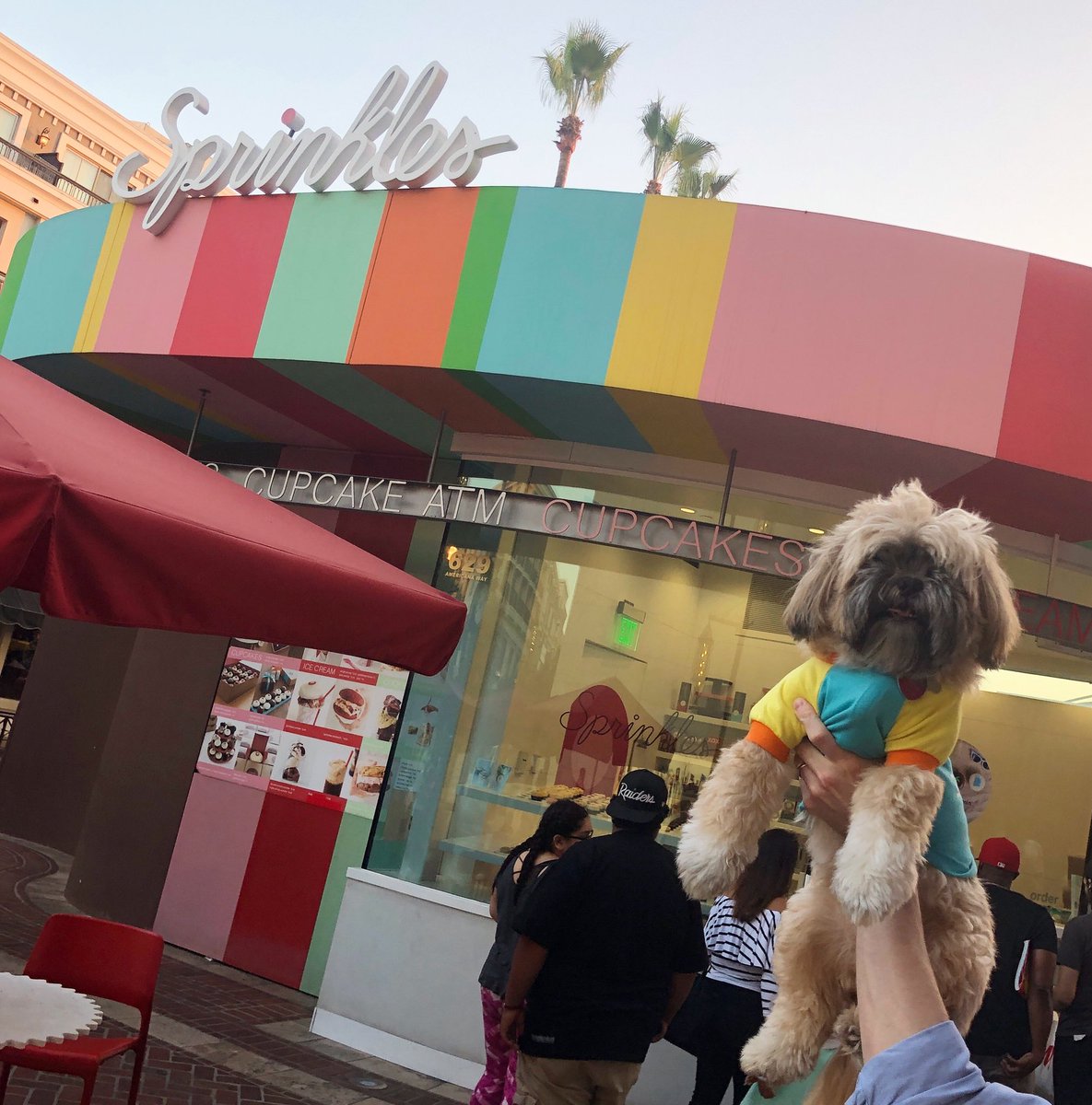 LardonCanada's tweet photo. Hitting up @sprinkles for a birthday pupcake! https://t.co/iZYQCMrOh2