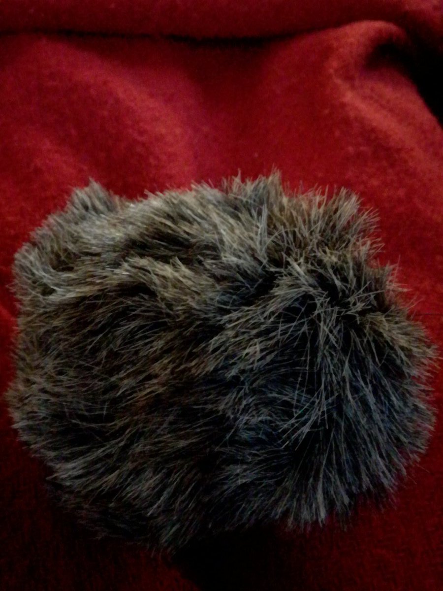 aj42's tweet image. Så har jeg fået et noget pelset husdyr / legetøj ! #NytLegetøj