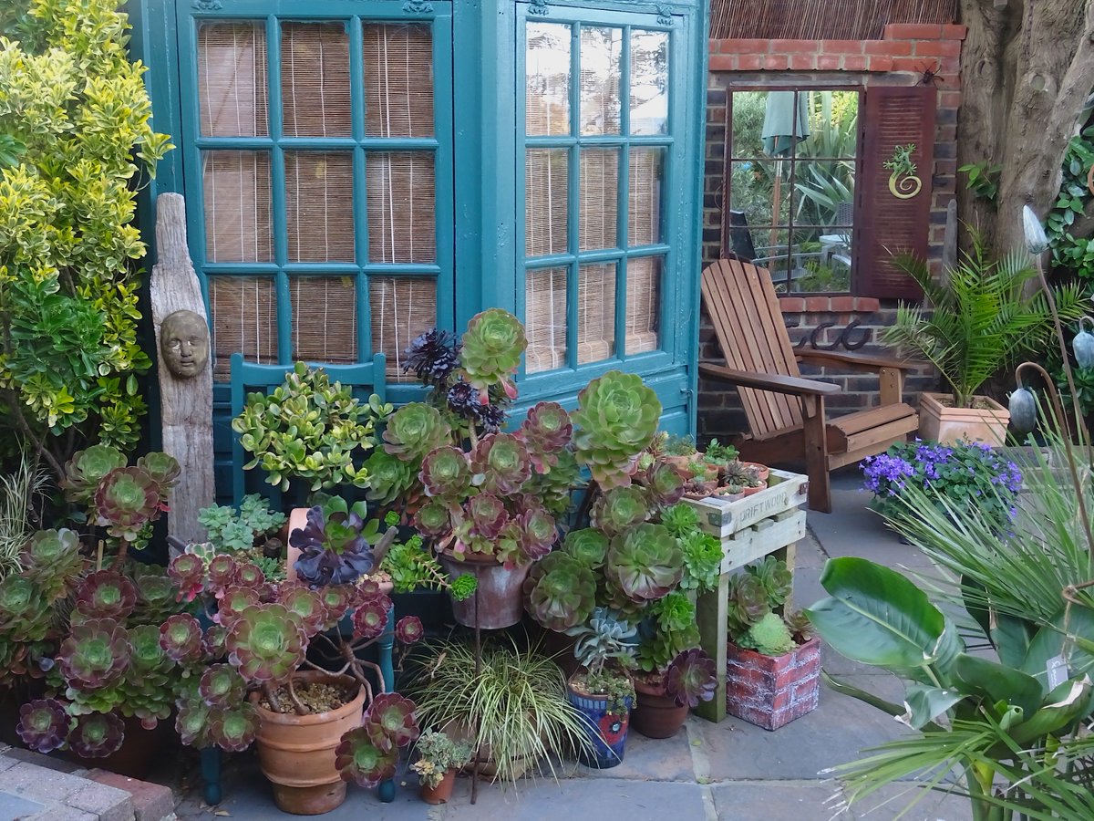 Gorgeous #succulents corner of the garden by the Summer House! driftwoodbysea.co.uk Check out the image of them in the current edition of <a href="/GWmag/">BBC Gardeners' World Mag</a> on page 67.  driftwoodbysea.co.uk #sussex