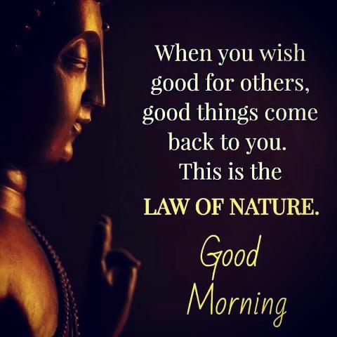Humble_254's tweet photo. #goodmorning https://t.co/YZC3mBI2Ry