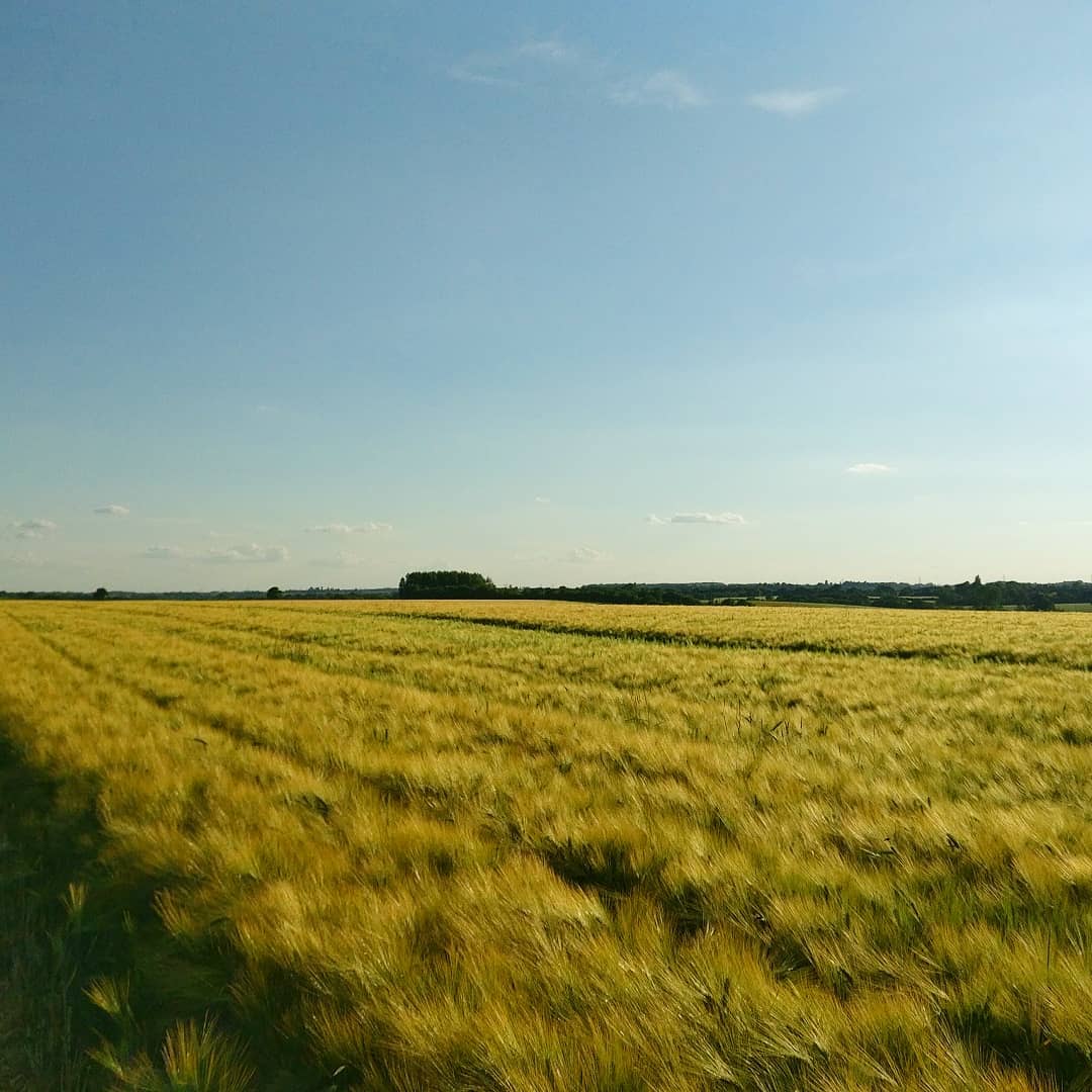DanEpisode's tweet photo. In just over a week, Kim and myself will be hiking 22 miles along the Jurassic coast to raise money for the fantastic @macmillancancer support. To sponsor me visit https://t.co/AaeHIjqcLI, thanks for the support so far.

#walk #hike #training #macmillancancersupport #essex #green https://t.co/QxlTLwrlQU