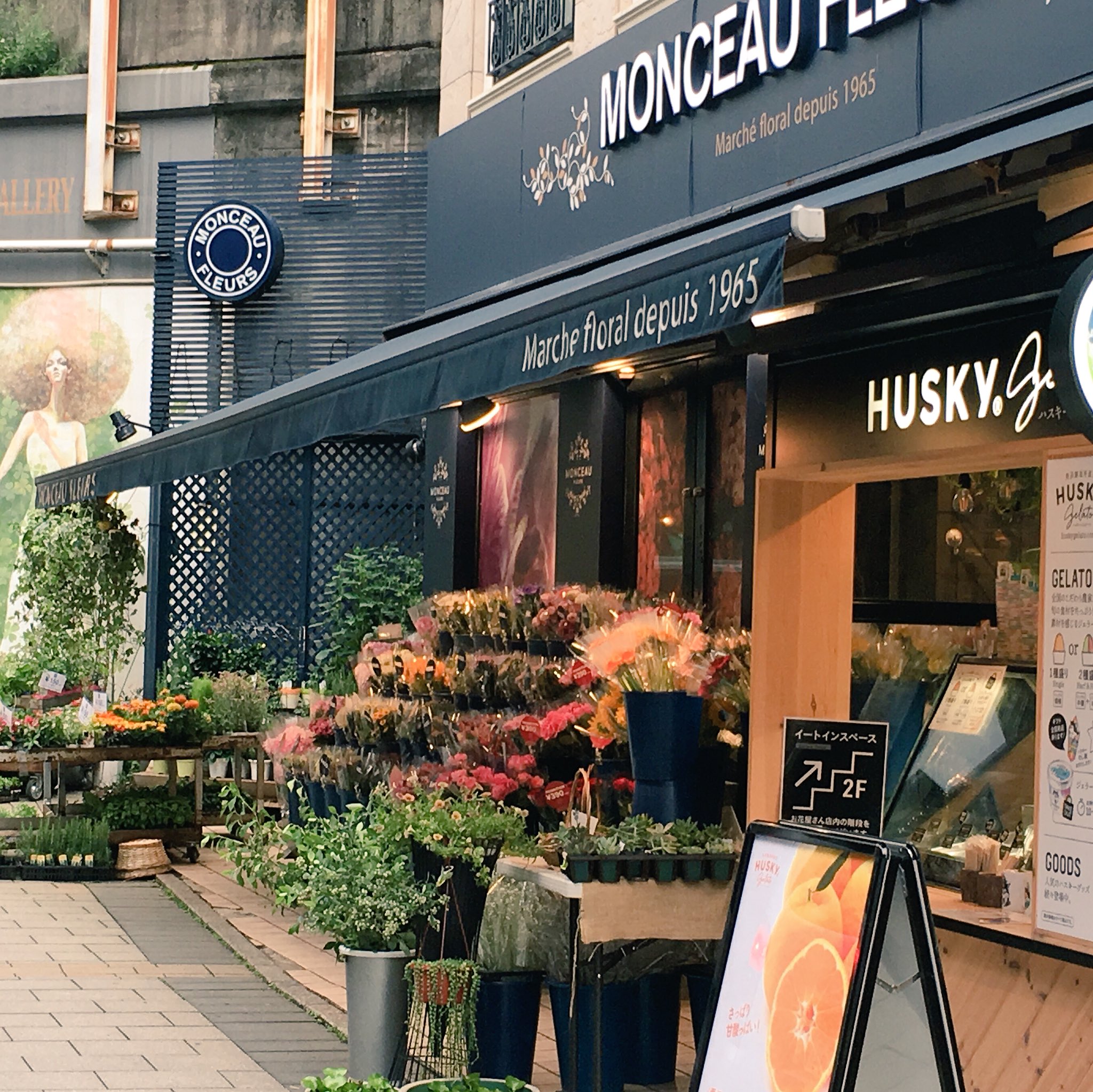 Rebecca 花屋の店先に並んだ いろんな花を見ていました 人それぞれ好みはあるけど どれもみんな綺麗でした この中で誰が一番だなんて 争うこともしないで バケツの中誇らしげに シャンと胸を張っていました 吾郎さんの残り香は 当然 全く すっかり