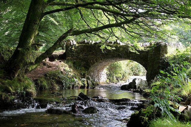 visitexmoor's tweet photo. #summerofbeauty  @Campaign4Parks #Exmoor #Devon https://t.co/fc0RDNrWB6