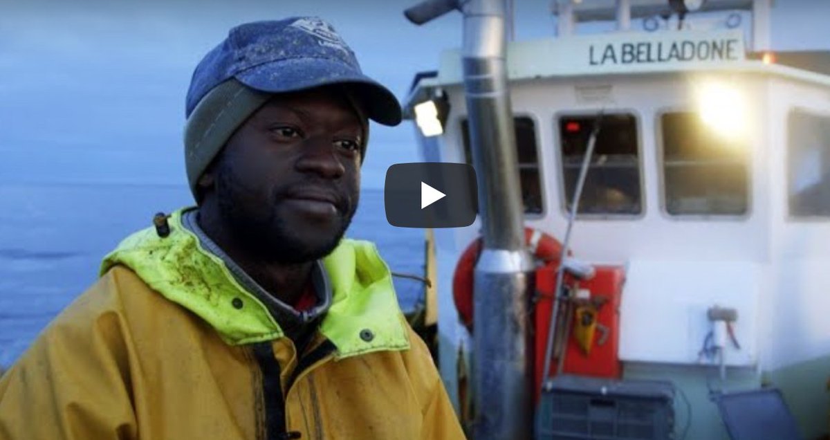 #Vidéo : la vague à l’âme, l’odyssée des #pêcheurs #sénégalais en Bretagne // Ils sont près de 500 marins pêcheurs sénégalais travaillant en Bretagne, sur les quais de Lorient, Le Guilvinec, Roscoff, Saint-Vaast, Cherbourg 👉🏾 bit.ly/2I8Djna #SIPAnews <a href="/Rejoprao14/">REJOPRAO</a>