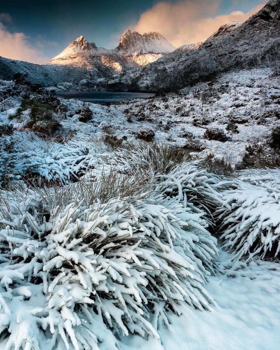 Australia On Twitter Happy Winter Solstice The Snow Capped Peaks Of Cradlemountain In Tasmania Are An Impressive Sight Via Ig Camblakephotography Seeaustralia Https T Co Yuj4qveoxa