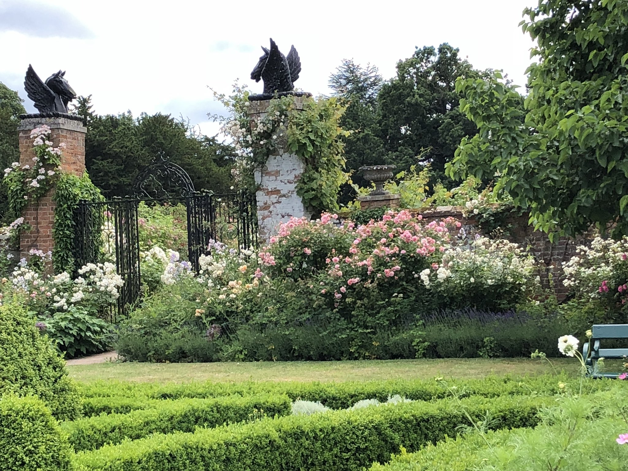クラブツーリズム 花めぐり マダム高木さんとバラ満開のイギリス庭園めぐりに来ています 秋はチャールズ皇太子のお庭を訪ねるたびをおこないます 是非ご参加ください T Co Dbg0abr6q8 英国庭園めぐり マダム高木 イギリスガーデン 花