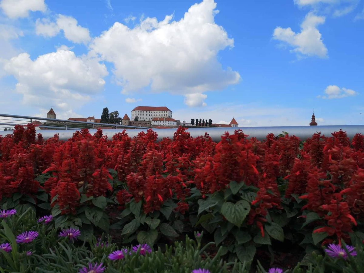 SloveniaInfo's tweet photo. Ready to explore Ptuj, the oldest Slovenian town? #ifeelsLOVEnia #exploreptuj #itsculturetime
Check here 👍 https://t.co/kFekUykR2o
📸 Damjan Tarfila https://t.co/1UEHLPsBew