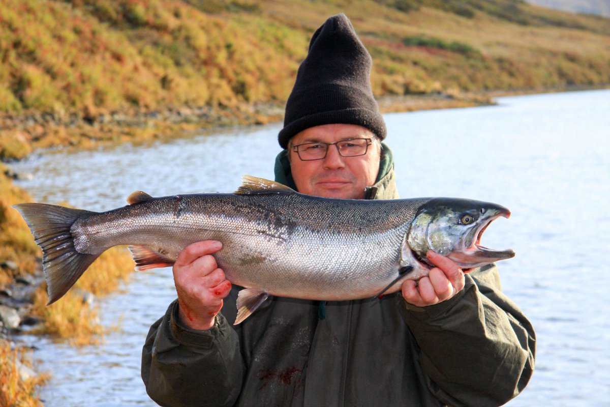 Plenty of fishes dating website Plenty of fishes dating website