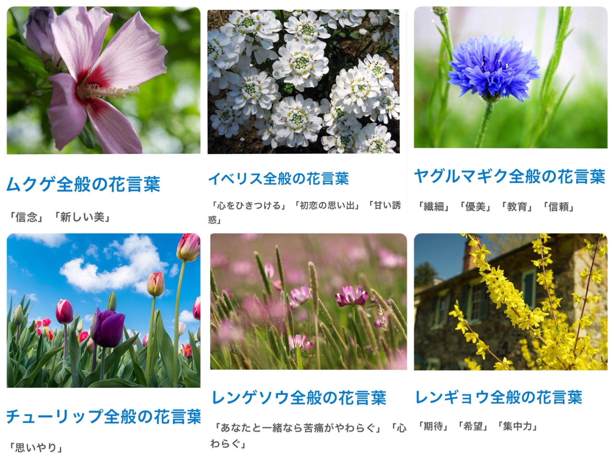 みのりと花言葉 Twitter
