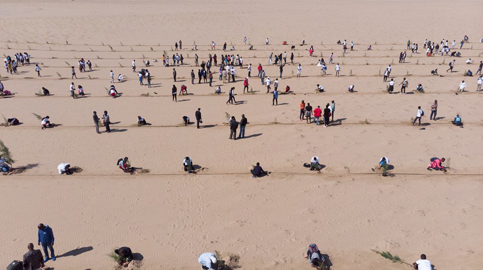 MASHAVisrael's tweet photo. Over 500 children from Tombwa in #Angola Namibe desert planted 1000 trees to mark World Day to Combat Desertification & #MASHAV60 Anniversary. Organized by the Embassy of @IsraelinAngola the goal of the project is to create a green wall between desert & city https://t.co/CRB1y27FtH
