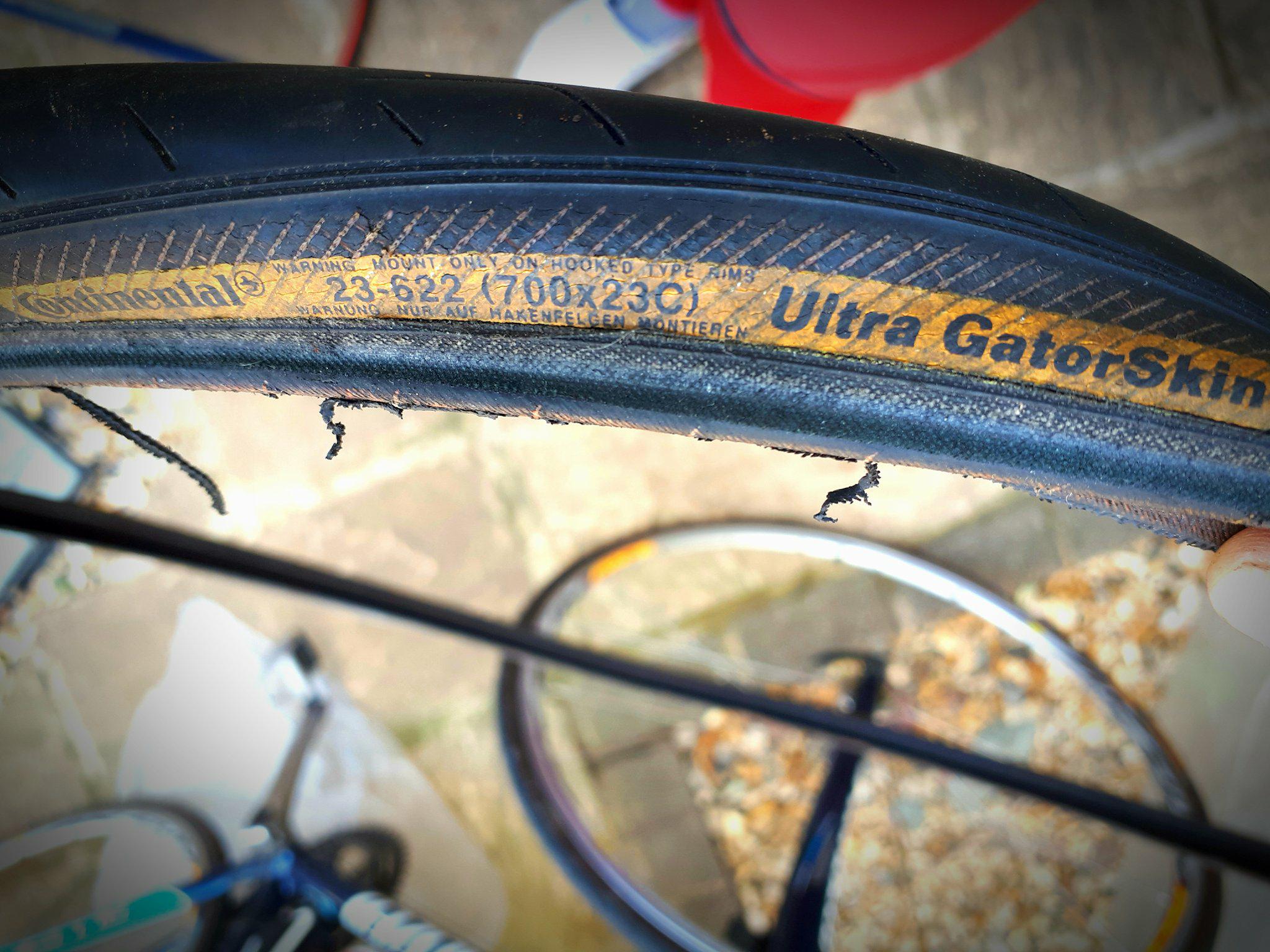 gator bike tyres