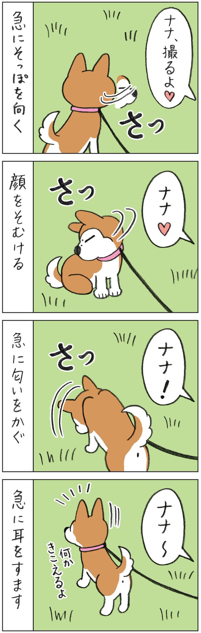 月田エミ 墨ねこ 墨いぬ Twitterren ブログ うちの動物チーム 更新しました カメラはイヤ 久しぶりに写真でも撮ろうかと スマホを持って散歩へ しかーし 絶対にカメラを見ないナナ T Co Cpkjjlfeza 猫まんが 犬まんが 猫好きさん