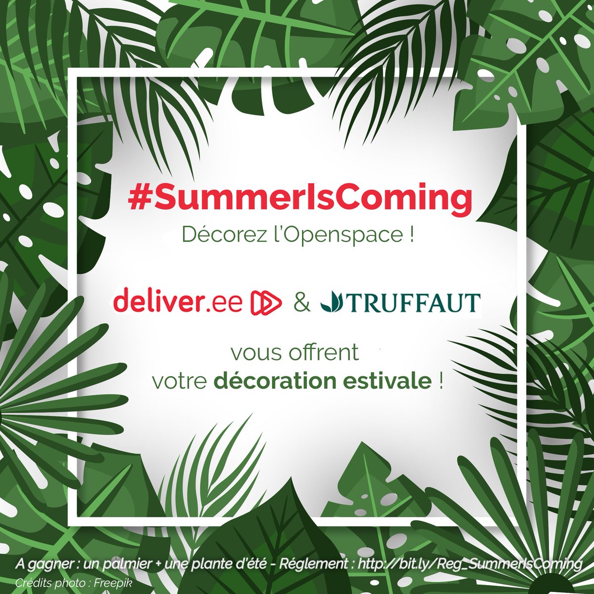 deliver_ee's tweet photo. #SummerIsComing 🍹☀️
Hello les CMs ! @Truffaut et @deliver_ee vous offrent de jolis palmiers pour votre open space 🚀🎁. 
Pour les recevoir tout de suite, envoyez-nous une photo en mode ‘Summer vibes’ 📷 ! 
Attention quantités limitées 🌴🌴 https://t.co/SktN7SMXny