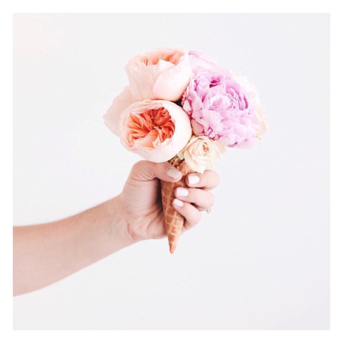 CERIMANI tweet media