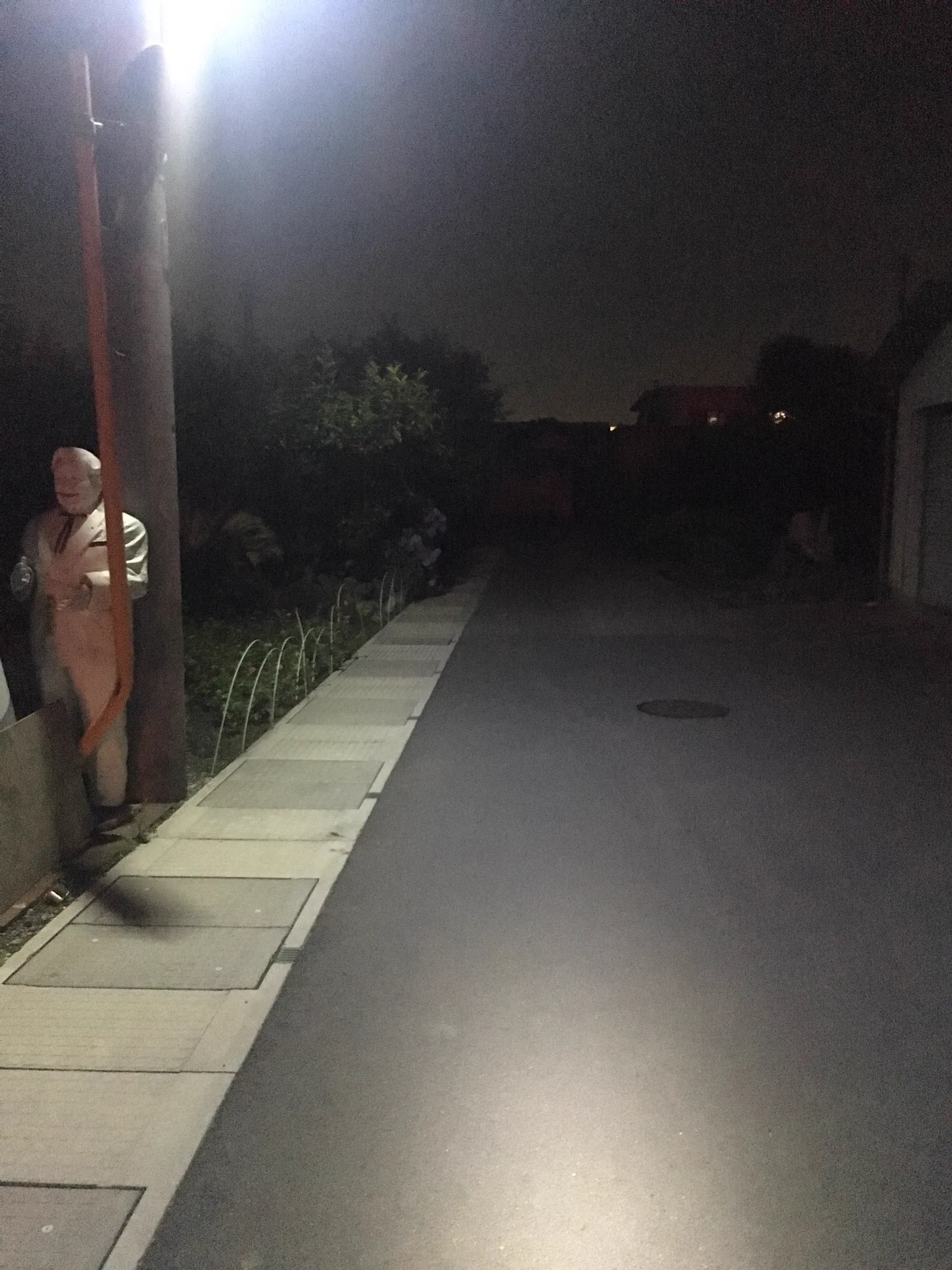 これは怖いｗ夜道を自転車で走行中に視界に入った謎の白い影の正体！