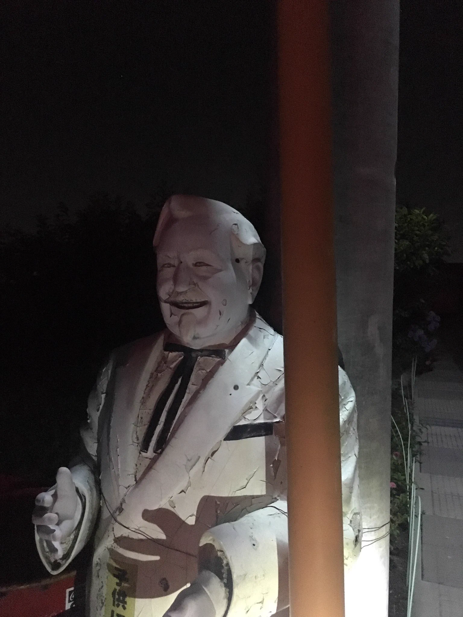 これは怖いｗ夜道を自転車で走行中に視界に入った謎の白い影の正体！