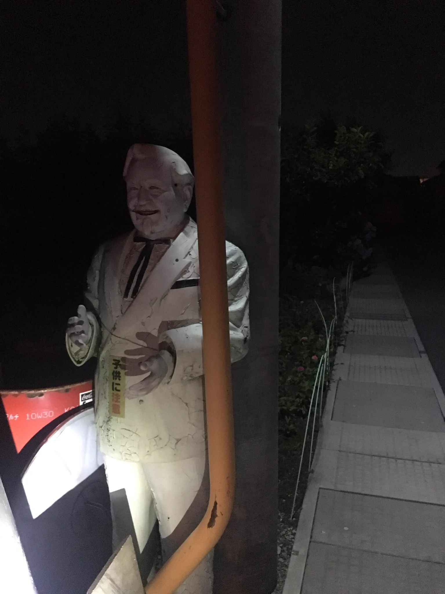 これは怖いｗ夜道を自転車で走行中に視界に入った謎の白い影の正体！