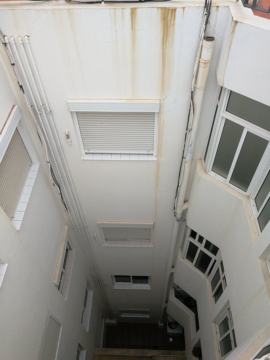 Brillante verticales tweet media