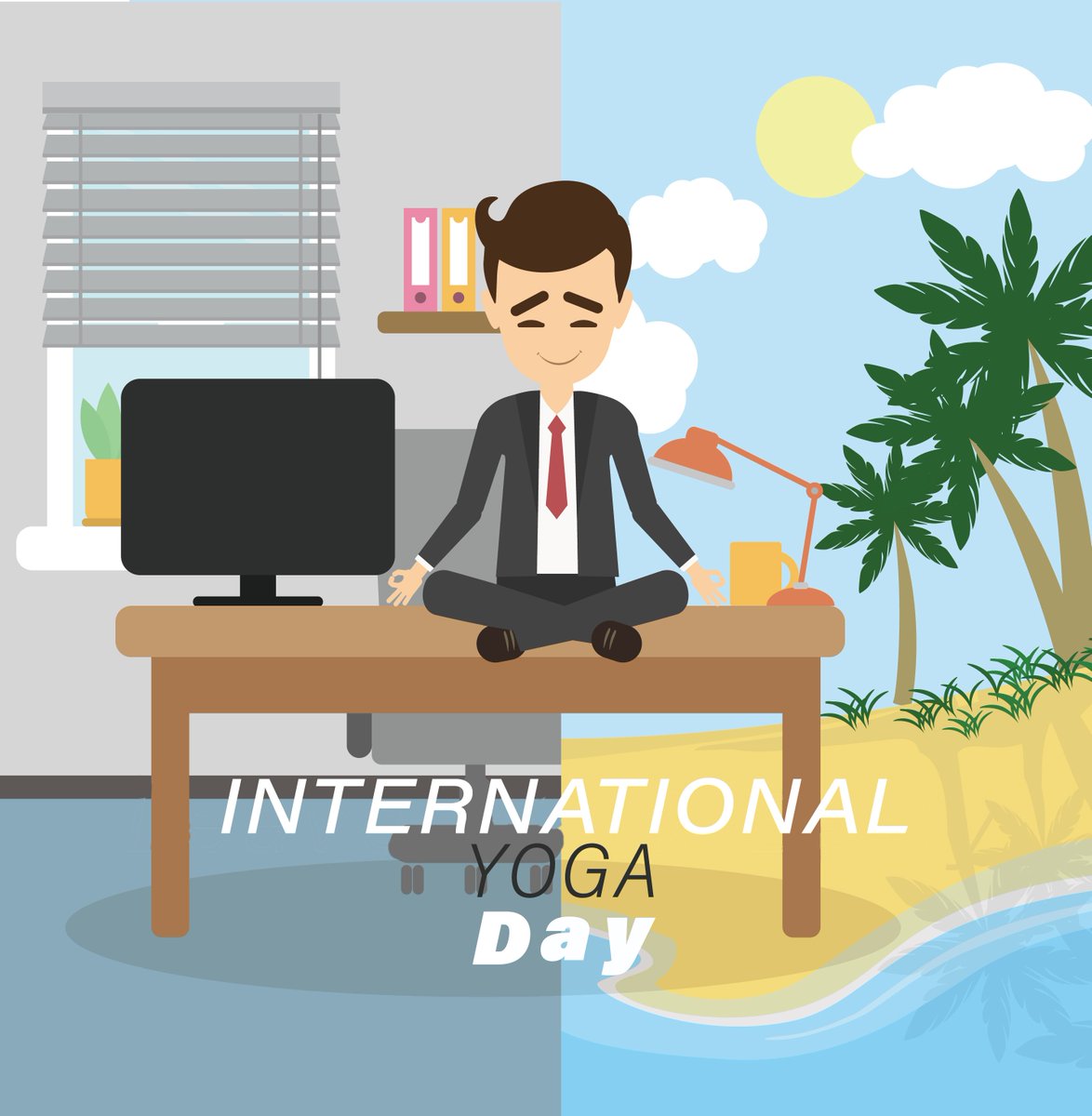 NoNetz Inc tweet media