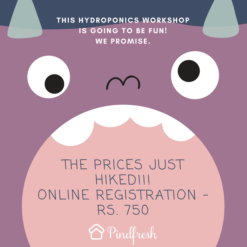pindfresh's tweet photo. Hurry up guys, time's running!!! Register now for the workshops in Bangalore. #hydroponicsworkshop #BangaloreEvents #GoGreen https://t.co/ZLfWgdsjG5