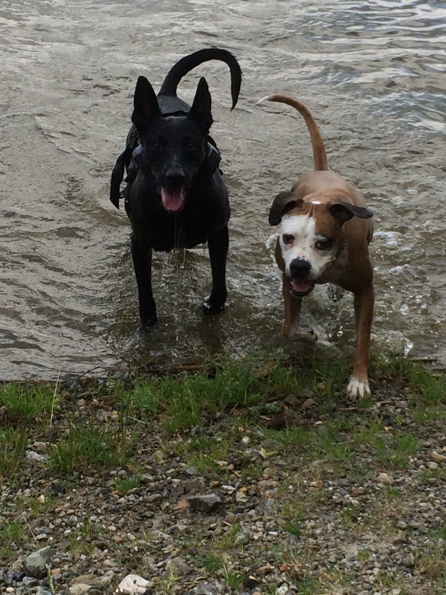 Meine zwei Wasserratten