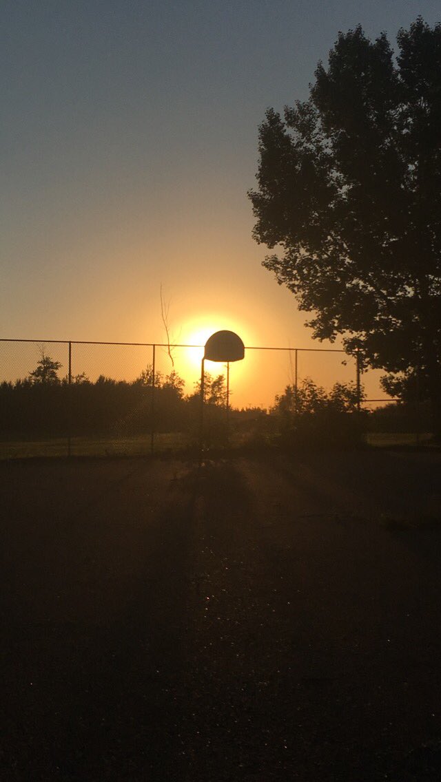 tinytank45's tweet photo. Starting the day with gratitude like every day! #SummerSolstice https://t.co/1jrdKIokM0
