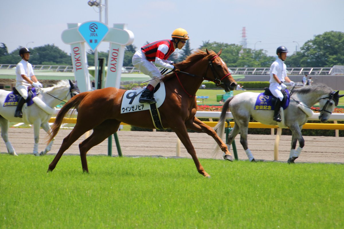 牧場ツアー Twitter Search Twitter