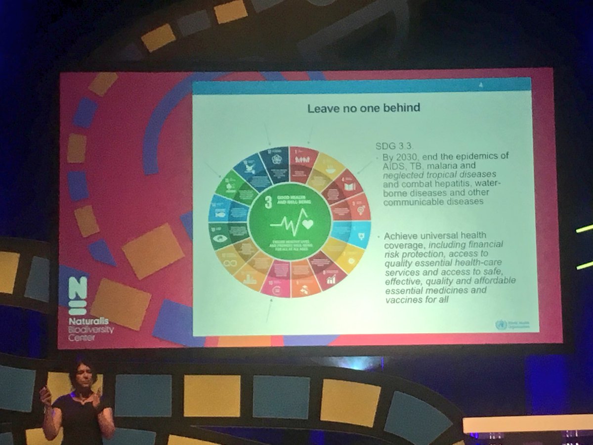 Diogo Martins tweet media