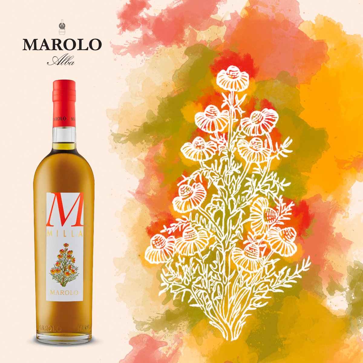 Welcome Summer! Enjoy sipping its fresh and sweet side with #Milla 😉
Don't miss all new #cocktailMarolo 🍹👉 bit.ly/2LzGd6S
#grappamarolo #grappa #marolo #millamarolo #21giugno