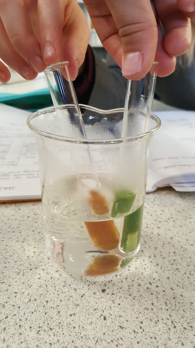 ScienceNCS's tweet photo. 7Y2 Food testing time 😁 Do you know what these foods contain? #positiveresults https://t.co/udVxl9tT0y