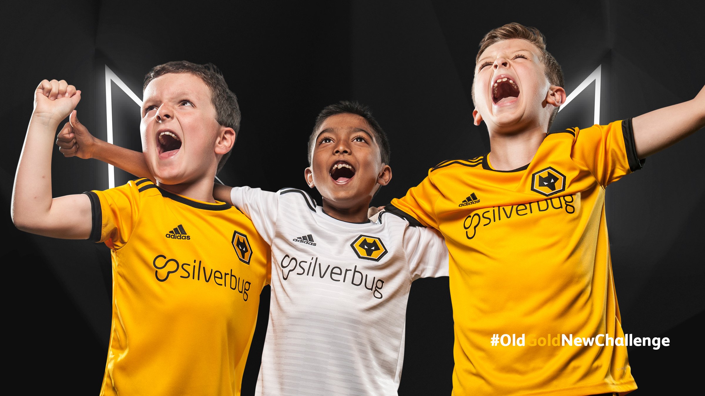 Wolves junior sale kit