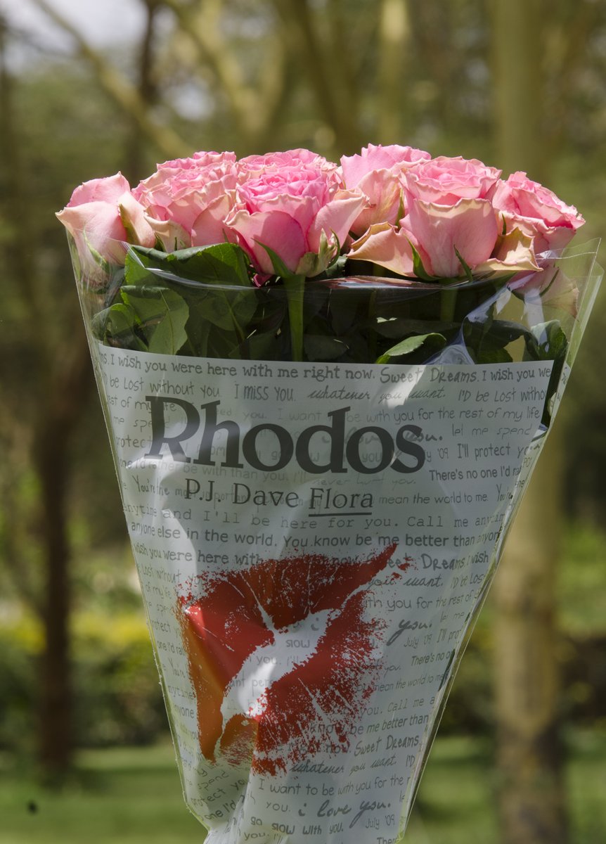 pjdaveflora's tweet photo. So many ways to say "I Love you."
Name: Lovely Rhodos
Color: Pink
Head Size: 5+ cm
Category: Premium
Length: 40cm – 80cm
#Roses #PJDaveFlora #FreshCutRoses #FlowerDelivery #Rhodos #LovelyRhodos #QualityFlowers #KenyanRoses #Beautiful #Premium #BigheadRoses #PinkRoses #Delivery https://t.co/x3hYYpNUfy