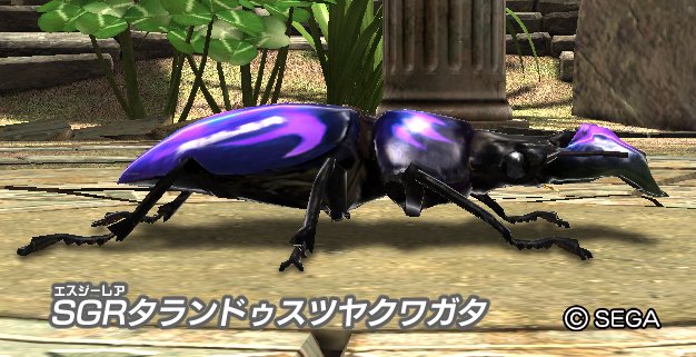 ムシキング 5周年ハードコーティング タランドゥスツヤクワガタ ☆[650]ムシキング 未開封5周年ハードコーティング タランドゥス