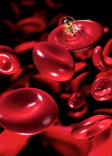 bio_mat18's tweet photo. INTERNATIONAL CONFERENCE ON BIOMATERIALS AND NANOMATERIALS
September 17-19, 2018
Frankfurt, Germany
VISIT US: https://t.co/UQshAsNfDq

#Alliedmeet #biomaterials #nanomaterials #nanotechnology #materialsscience  #nanomedicine #nanofibers #nanowires #nanocircuts #dentalimplants https://t.co/a7JcA0EnSX