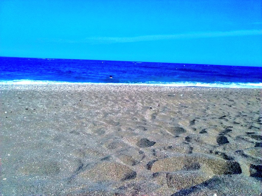 ¡Bienvenido el Verano a #Málaga! Venir a disfrutar del paraíso de nuestras playas y ciudad. 🌞🌴🍹🏄🐟 #FelizVerano #Beach #21June #WelcomeSummer
