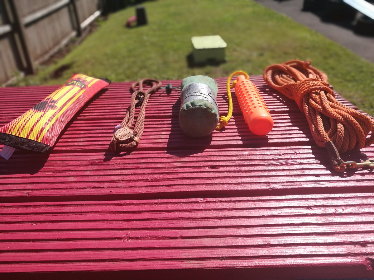 baldyman71's tweet photo. Tools of the day for some basic dog training namely heel work, send &amp; retrieve. Here I a using a long line, some dummies, a slip lead and a tug toy #positvetraining #dogsoftwitter #dogs #dogtraining https://t.co/8WJcStx8IJ