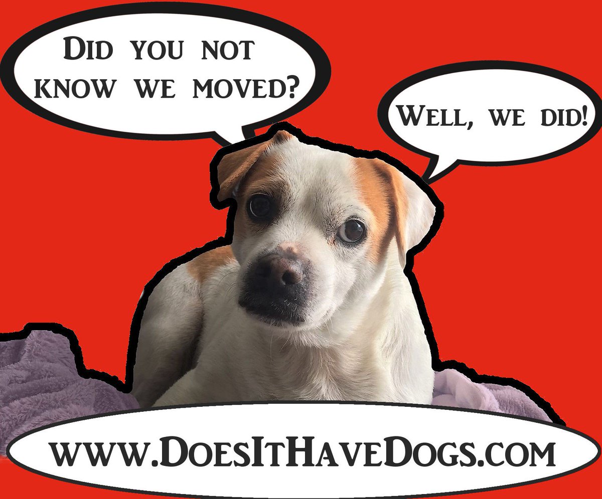 DoesItHaveDogs's tweet image. We've got a shiny new web address!
DoesItHaveDogs.com
#DoesItHaveDogs #DIHDMovieReviews #DIHD #MovieReviews #DogsofTwitter #DogsLife #Dogs #Reviews #Movies