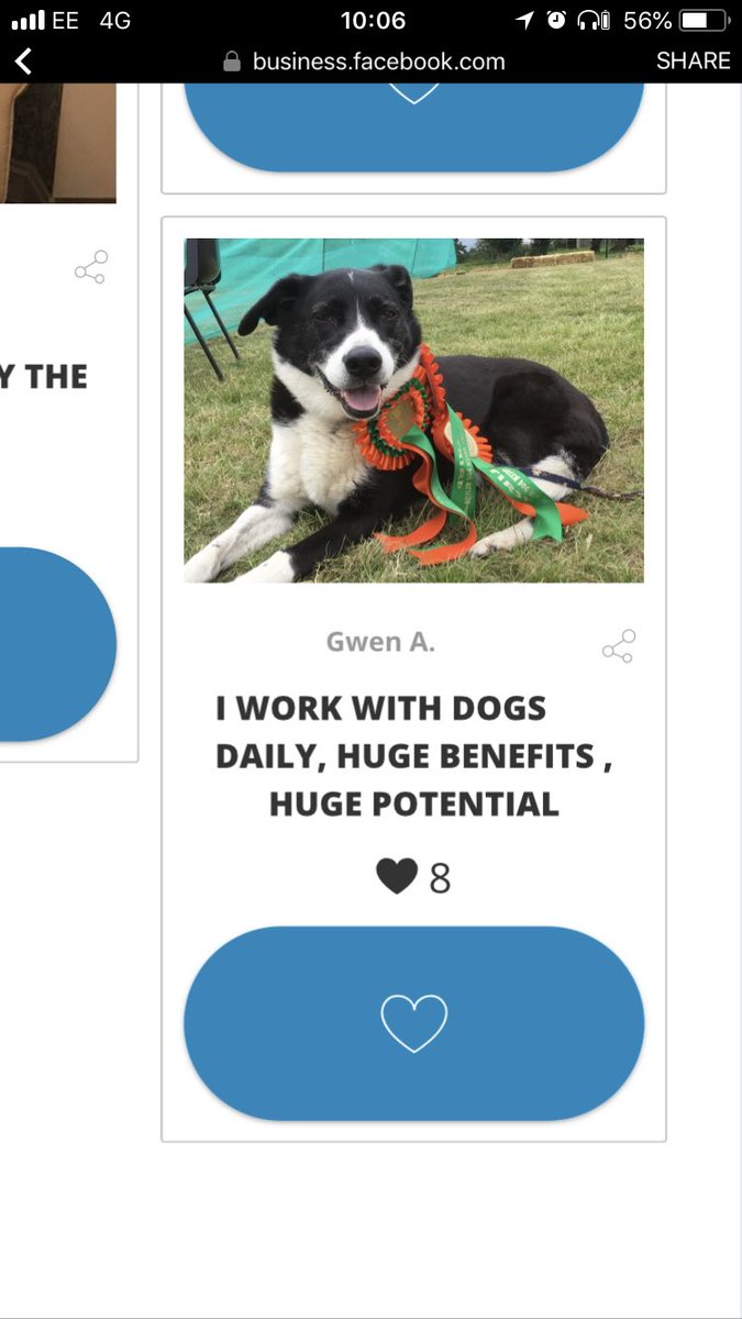 Please can you all spare a moment and vote for our dog Fraggle? 

business.facebook.com/companyofanima…

Thank you