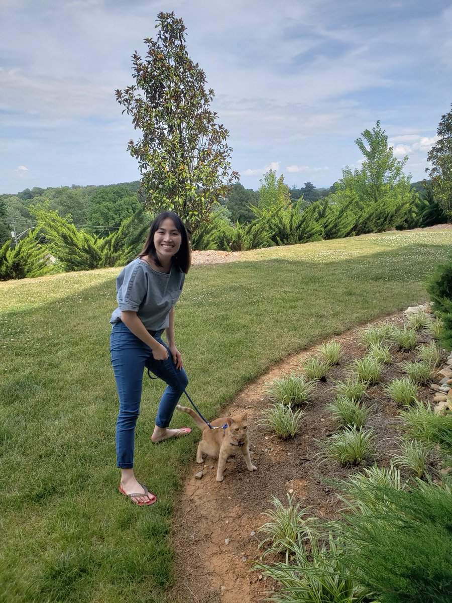 MJBSeminars's tweet photo. Usually nothing screams crazy more than walking your cat on a lead but Connie, our Head of Social seems to be rocking the 'crazy cat lady' label in style 😺 #herthing #LifeatMJB https://t.co/sFq8ppSPUQ