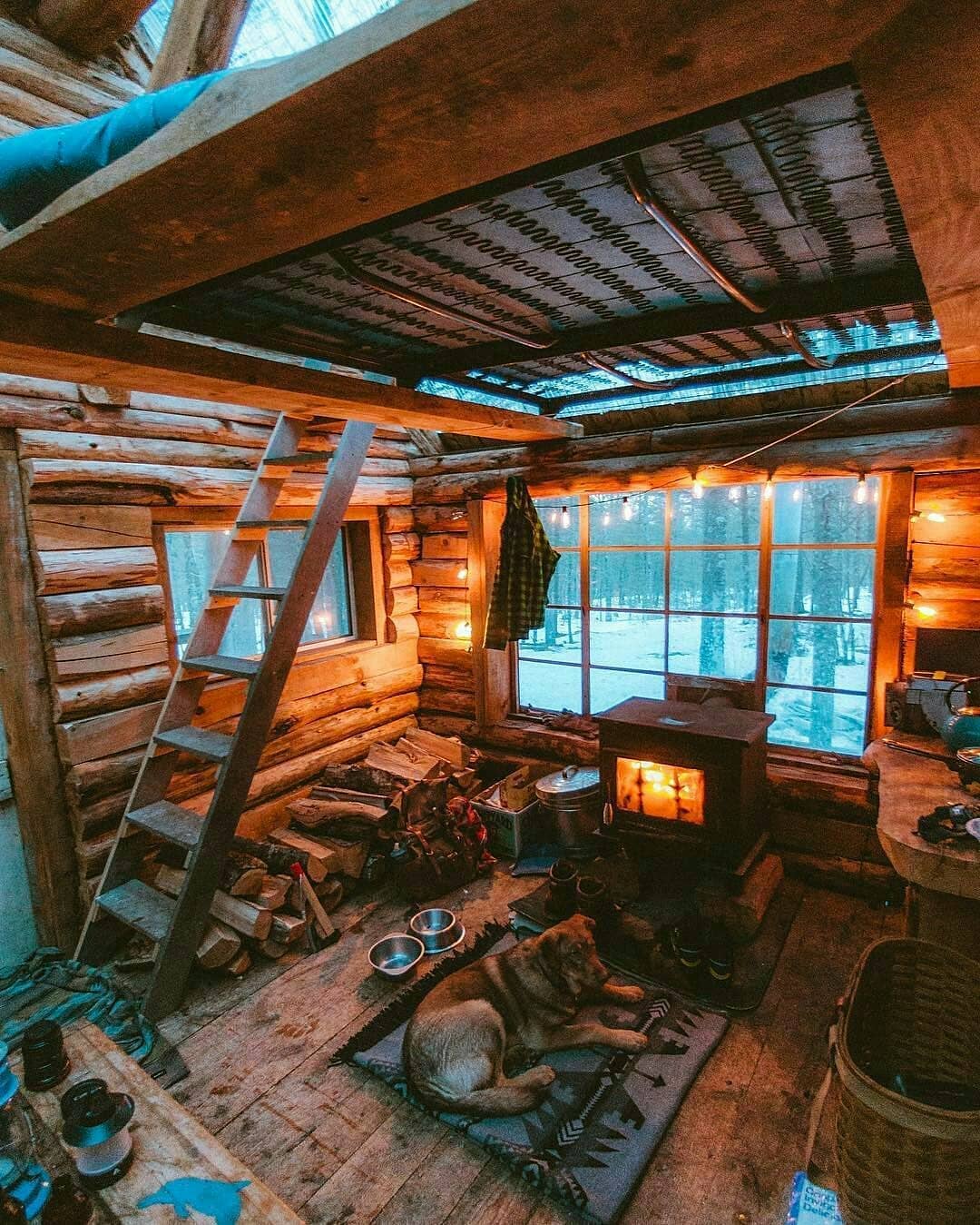 Survival Camping World on X: Cabins are like paradise. Follow:  @SurvivalCampin9 #Camping #campinglife #Survival #survivalist #outdoors  #hiking #adventure #nature #wilderness #shelter #survivalcraft #bushcraft  #bushcrafting #shelter #travel