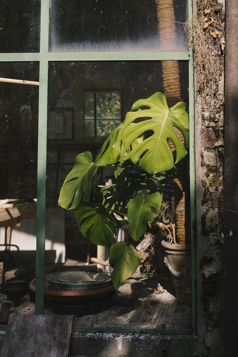 micheleg1989's tweet photo. Vi segnalo questo evento: una #mostra-reportage sugli spazi abbandonati dell'ex manicomio Santa Croce di #Macerata @viveremacerata @viveremarche https://t.co/vknOtETwCv