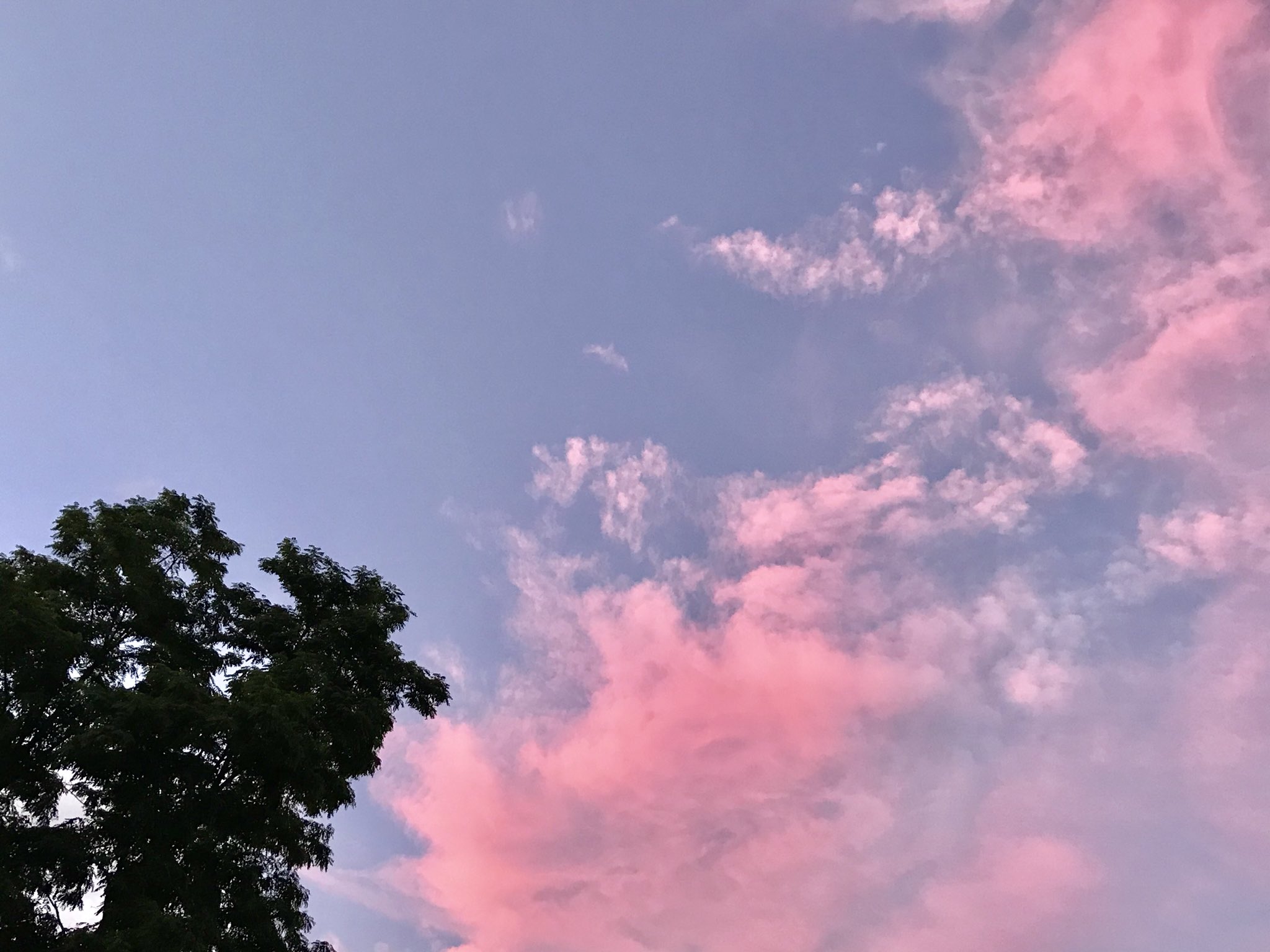 Atsushi Tsuruta 今日の夕方は東の空はピンクっぽく雲が染まっててキレイだった 夕焼け ピンク 空 東側 東の空 染まる サンセット 夕暮れ 日没 空 雲 T Co Imtscljukv Twitter Atsushi Tsuruta 今日の夕方は東の空はピンクっぽく雲が染まっててキレイだった 夕焼け ピンク 空 東側 東の空 染まる サンセット 夕暮れ 日没 空 雲 T Co Imtscljukv Twitter