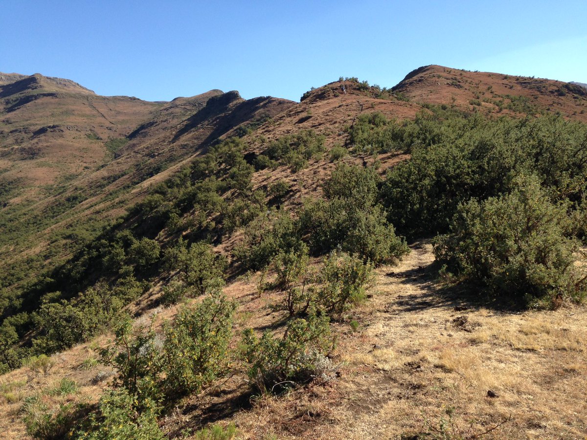 Tim Deane tweet media